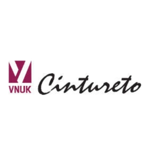 Logo de Cintureto